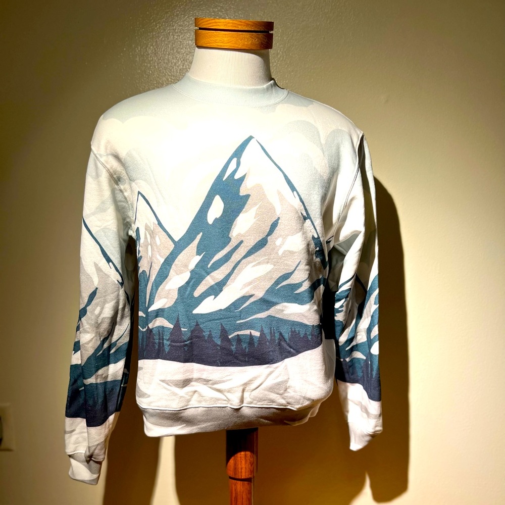 PacSun Mountain Sweatshirt